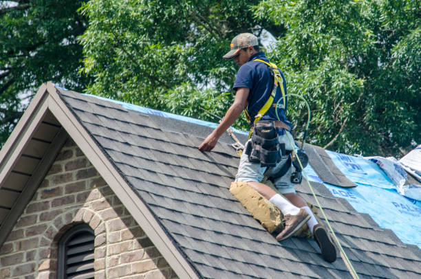 Best New Roof Installation  in Echelon, NJ